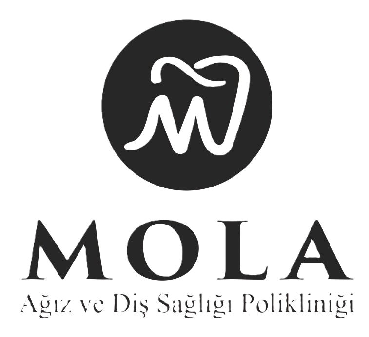 yazılı gölgesiz logo bg